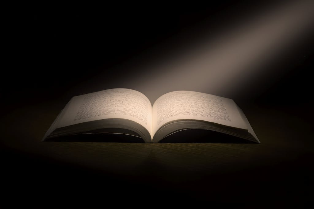 A book with 28 days of journaling.